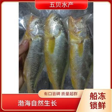 一斤左右黃花魚(yú)多少錢(qián)